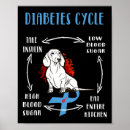 Search for life cycle posters Blood sugar