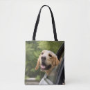 Search for mirror mirror bags Pet