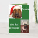 Search for bloodhound christmas cards Dog
