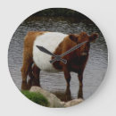 Search for dartmoor posters River