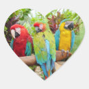Search for colourful parrot stickers Exotic