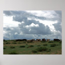 Recherche de mongolie posters Chevaux