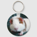 Search for guinea pig keychains Animal