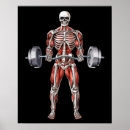 Search for weight training posters Powerlifting