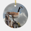 Search for geese ornaments Canada goose