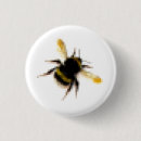 Search for pollination buttons Insect
