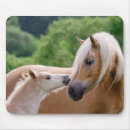 Search for horse mouse Foal
