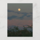 Search for scottsdale postcards Phoenix