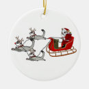 Search for sugar glider ornaments Suggie