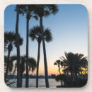 Search for trees coasters Sunrise