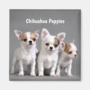 Search for posing magnets Cute