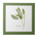 Search for sage green tiles Kitchen