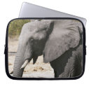 Search for botswana electronics Mammal