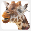 Search for animal humour stickers Giraffe