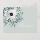 Search for grass green cards Eucalyptus