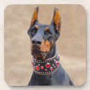 Search for collar coasters Puppy
