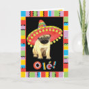 Search for dog with sombrero cards Cinco de mayo