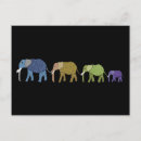 Search for species postcards Jungle