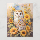Recherche de barn owl posters De hibou