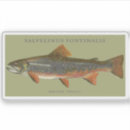 Search for fishing decal stickers Fisherman