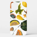 Search for vintage sunflower iphone cases Illustration
