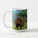 Search for grazing mugs Animal