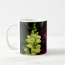 Search for fuschia mugs Flower
