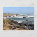 Recherche de san simeon cartes postales Plage