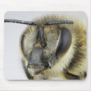 Search for antenna electronics Animals
