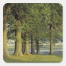 Search for lexington stickers Adam jones