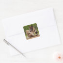Search for wolf pup stickers Cute