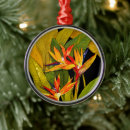 Search for birds of paradise ornaments Tropical