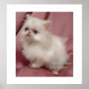 Search for twinkle twinkle little star posters Cute
