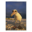 Recherche de schafer de kevin cartes postales Un