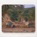 Search for low section mousepads Animal