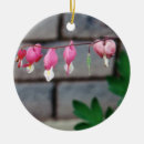 Recherche de photo de fleur ornements Florale