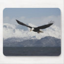 Search for bald eagle mousepads Flight