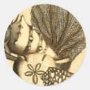 Search for algae stickers Anemone