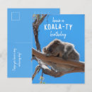 Search for best quality cards Koala
