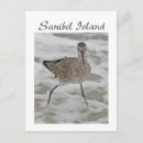 Search for piper postcards Sand