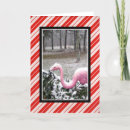 Search for funny flamingo christmas cards Humour