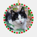 Search for cat in frame ornaments Animal