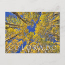 Search for aspen colorado postcards Nature