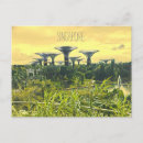 Search for postcards Tropical