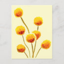 Search for button postcards Floral