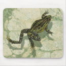 Recherche de crapauds tapis souris Grenouille