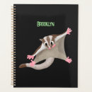 Search for possum office supplies Sugar glider
