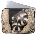 Recherche de ratons laveurs ordinateurs portables protections Animaux