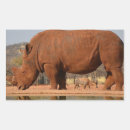 Recherche de rhinocéros loisirs créatifs safari