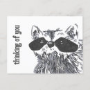 Search for cute raccoons postcards Woodland
